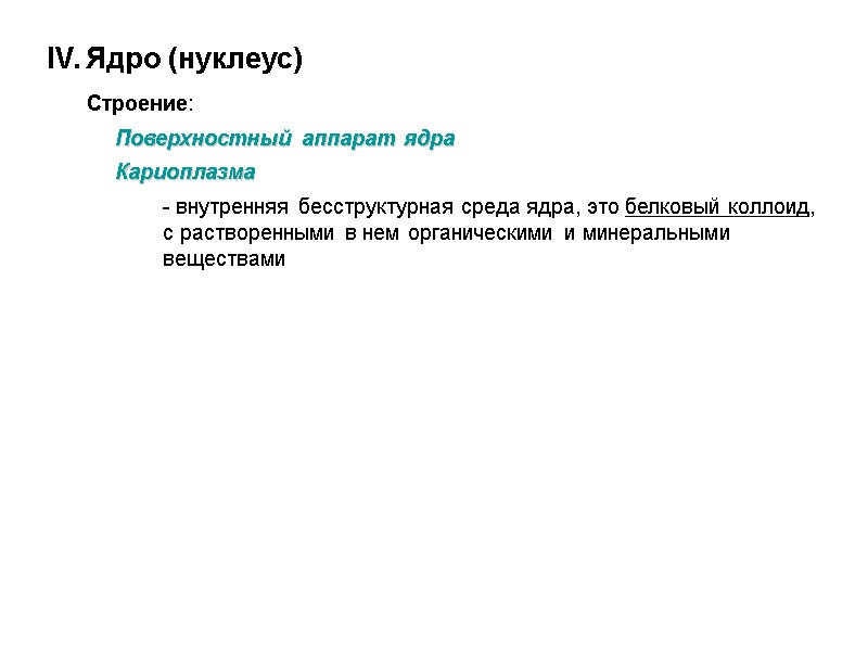 IV. Ядро (нуклеус)  Строение:  Поверхностный аппарат ядра  Кариоплазма - внутренняя бесструктурная